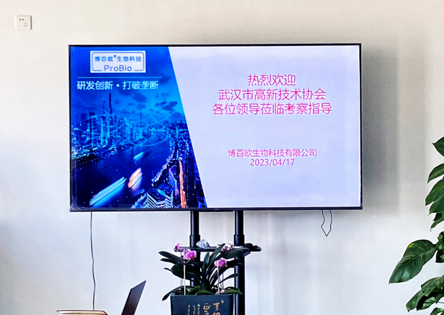 博百欧生物天然抗原，蛋白纯化专家