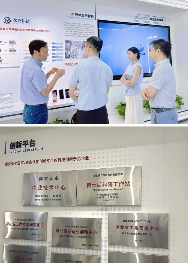 协会赴湖北鼎龙控股股份有限公司开展科技创新交流