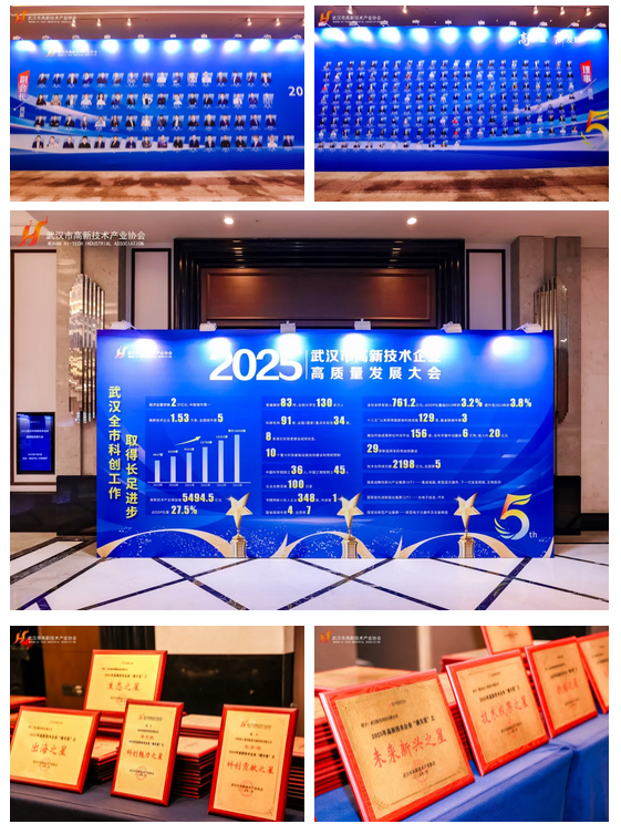 2025武汉市高新技术企业高质量发展大会隆重召开