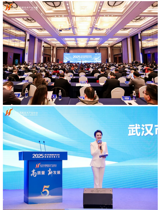 2025武汉市高新技术企业高质量发展大会隆重召开