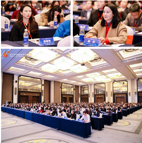 2025武汉市高新技术企业高质量发展大会隆重召开