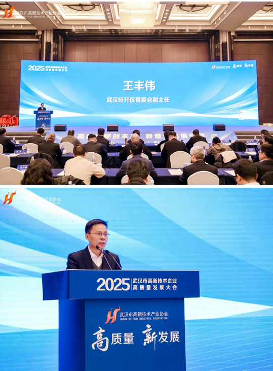 2025武汉市高新技术企业高质量发展大会隆重召开