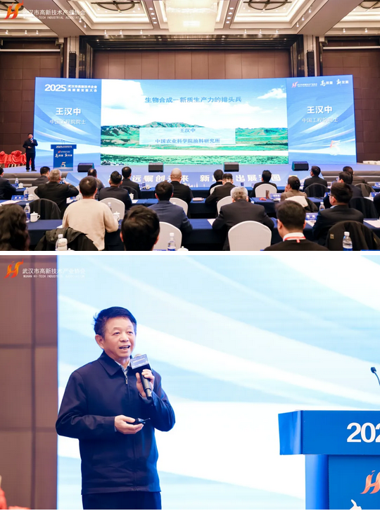 2025武汉市高新技术企业高质量发展大会隆重召开