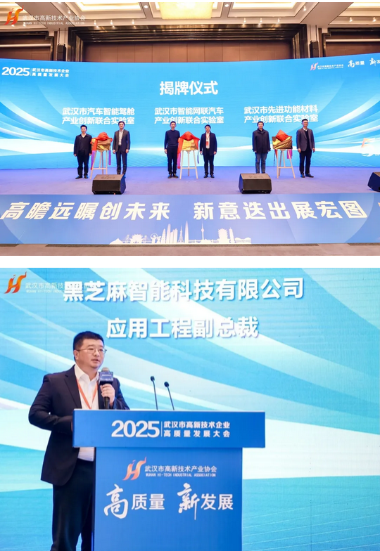 2025武汉市高新技术企业高质量发展大会隆重召开