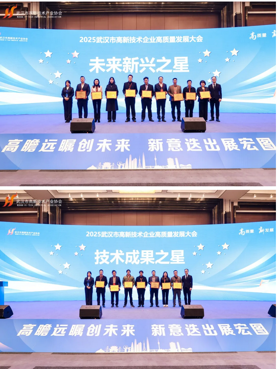 2025武汉市高新技术企业高质量发展大会隆重召开