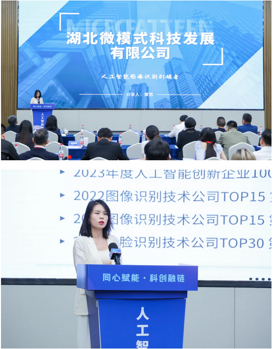 这场对接会激活“四链协同”，赋能人工智能生态升级！