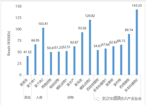 黄鹤之星合集④：生物医药—技术突破，带动产业崛起！