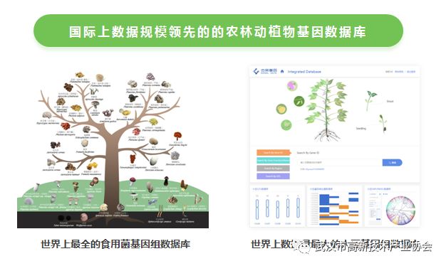 黄鹤之星合集③：人工智能—时代变革的必然趋势